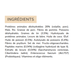 Croquettes Flatazor Prestige Junior Maxi pour chiots 3kg