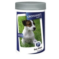 Pet Phos croissance CA/P:2...