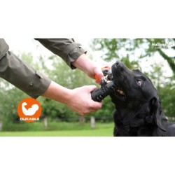 Chien Comètes Météore Bâton de lancer Vert S