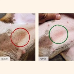 Flatazor Protect Dermato pour chiens 12kg