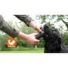 Chien Comètes Météore Bâton de lancer Vert S
