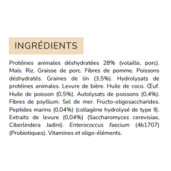 Croquettes Flatazor Prestige Junior Maxi pour chiots 15kg