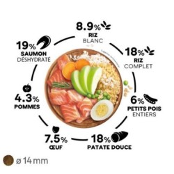 Select Dog Adult Sensitive - Saumon et riz