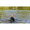 Dog Comets Bobber Vert