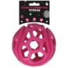 Chien Comètes Titan Rose