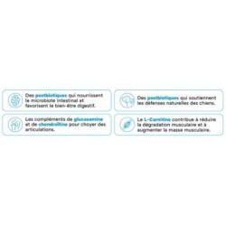 Select Mini Adult - Poulet et riz 12 kg