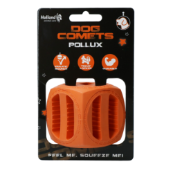 Chien Comètes Pollux Orange