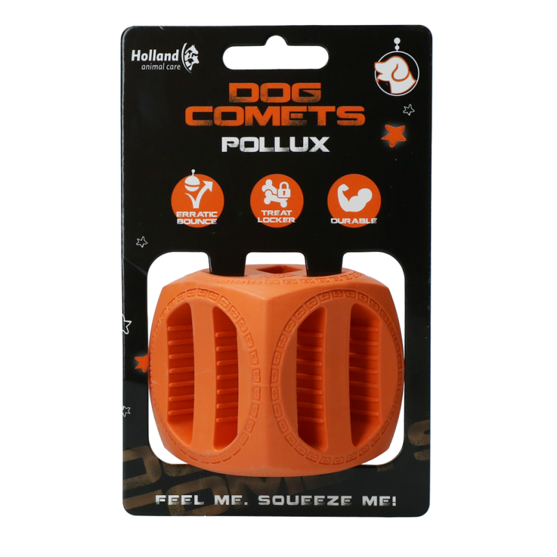 Chien Comètes Pollux Orange