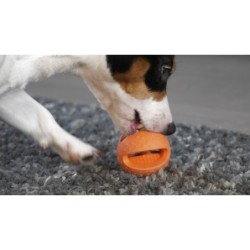 Chien Comètes Polaris Vert Rose
