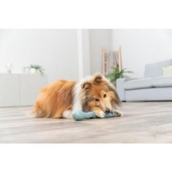 Queue friandise - Serpent