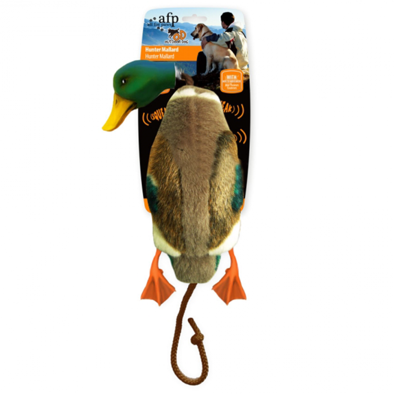 Classique AFP - Le colvert chasseur