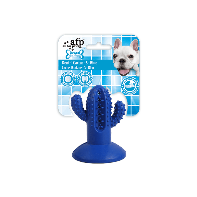 AFP Dental Chews - Cactus dentaire S Bleu
