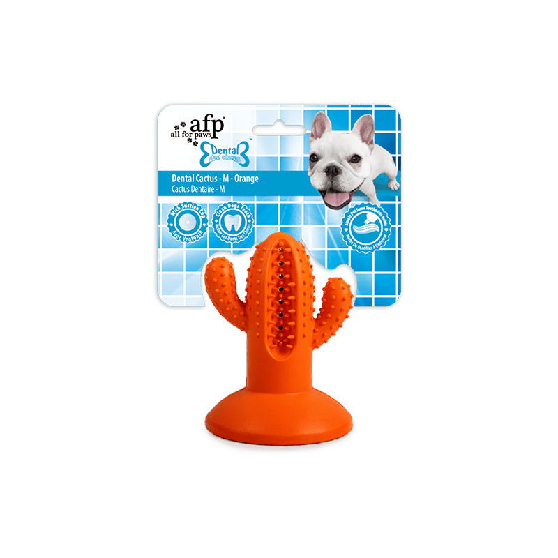 AFP Dental Chews - Cactus dentaire M Orange