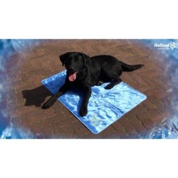 Tapis pour chien CoolPets 24h/24 et 7j/7 antidérapant XL
