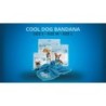 Bandana rafraîchissant CoolPets M