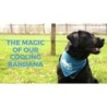 Bandana rafraîchissant CoolPets M