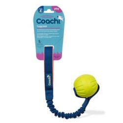 TUGGI BALL - Coachi & Play