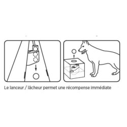 Lanceur de Balle - Ball Trainer Pro Dogtra