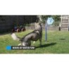 Fleur de glace CoolPets