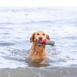 Aqua Toy - Jouet en Forme de Phare Taille : 20 cm