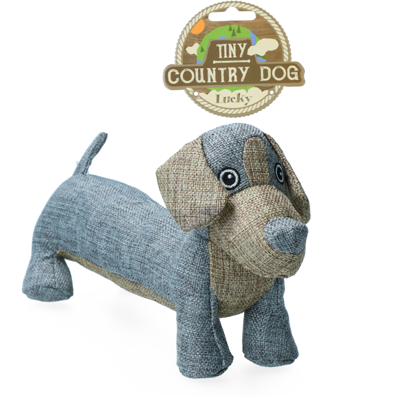 Chien de campagne Tiny Lucky