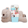 AFP Petit Copain - Ours Chaud