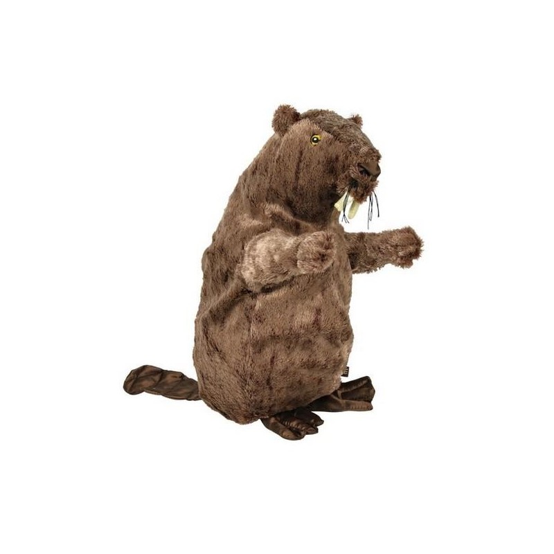 Castor peluche pour chien