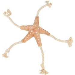 Étoile de mer Jane - BE...