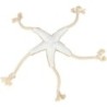 Étoile de mer Jane - BE NORDIC Taille : 52 cm