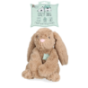 Cozy Dog Bunny Brown