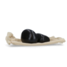 Pièces détachées pour chien confortable Pierres