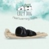 Pièces détachées pour chien confortable Pierres