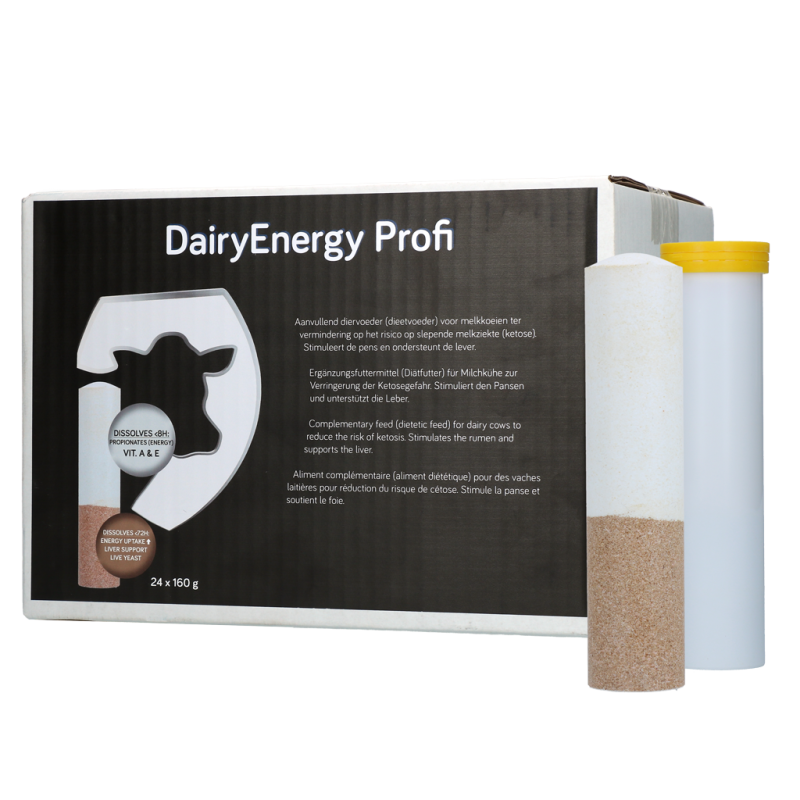 DairyEnergy Profi Bolus 24 x 160 g