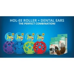 Oreilles dentaires petites 12 pièces