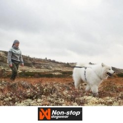 Ceinture Ferd Belt NON-STOP Dogwear Taille M