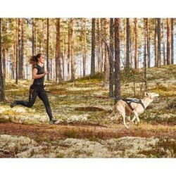 Ceinture baudrier Canix Belt NON-STOP Dogwear Taille M