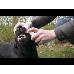 Spray dentaire buccal Excellent Pets 150 ml