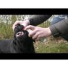 Spray dentaire buccal Excellent Pets 150 ml