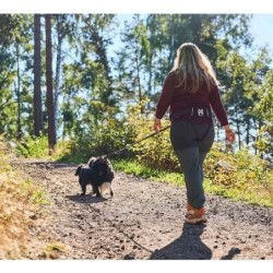 Ceinture Trekking Belt 2.0 NON-STOP Dogwear Taille S