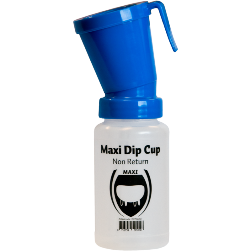 Excellente tasse Maxi Dip