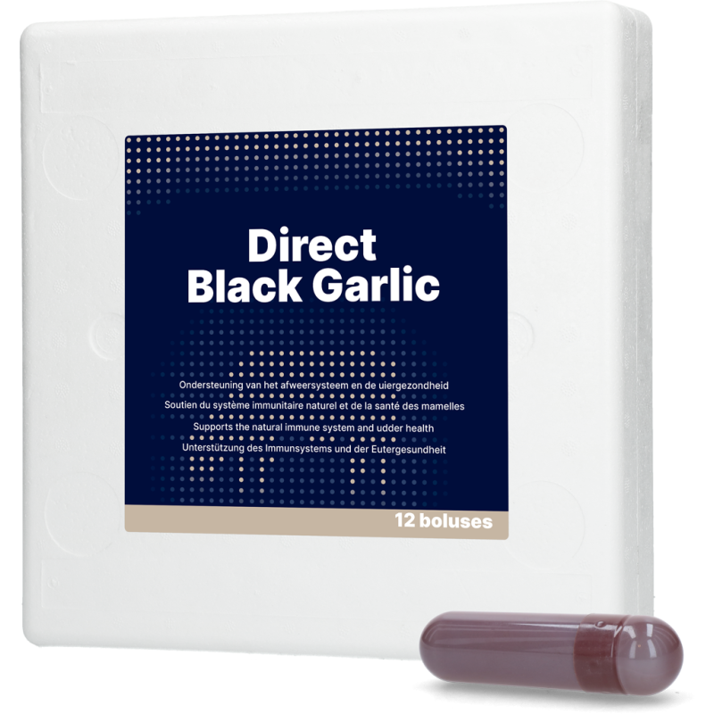 Ail noir direct 12 x 60 g