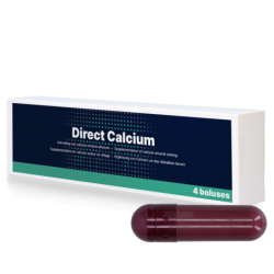 Calcium direct 4 x 94 g