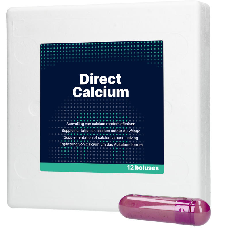 Calcium direct 12 x 94 g