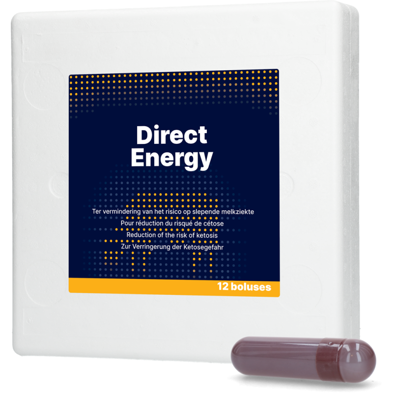 Énergie directe 12 x 67 g