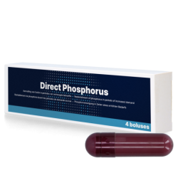 Phosphore direct 4 x 123 g