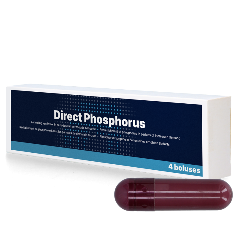 Phosphore direct 4 x 123 g