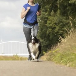 Ceinture + laisse de randonnée Doggy Jogging