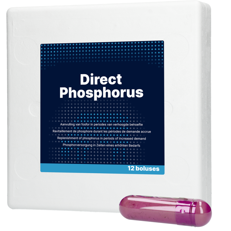 Phosphore direct 12 x 123 g