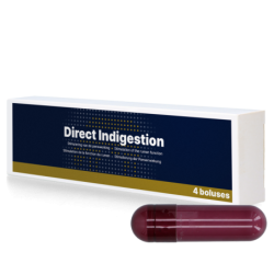 Indigestion directe 4 x 76 g