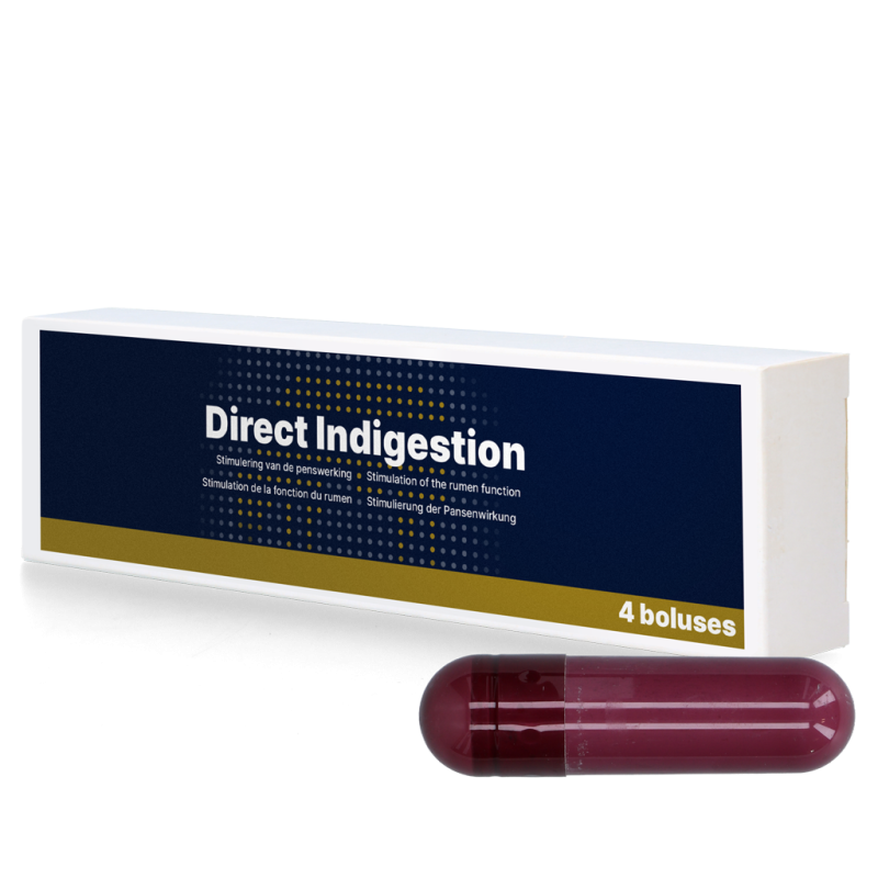 Indigestion directe 4 x 76 g